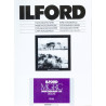 Ilford  Multigrade RC PERLE  17,8 X 24 100F