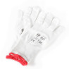 Gants de Labo T7