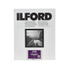 Ilford Multigrade RC 17,8x24 Perlé 25F