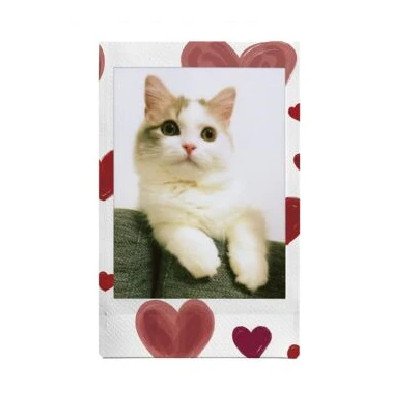 Fujifilm Film Instax Mini Couleur Hearth Sketch - x10