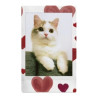 Fujifilm Film Instax Mini Couleur Hearth Sketch - x10