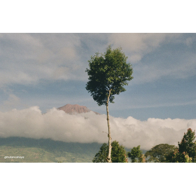 Pellicule FUJIFILM Color 200 - 135