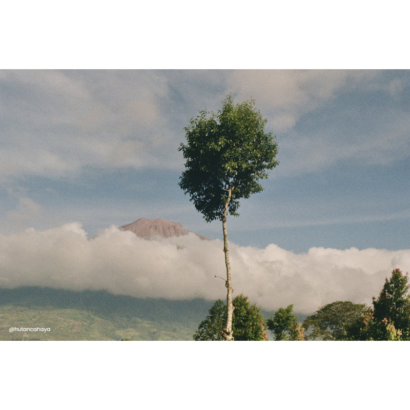 Pellicule FUJIFILM Color 200 - 135