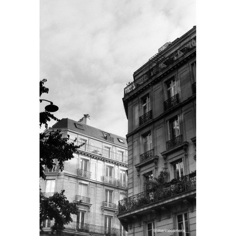 photo @marinecamera_