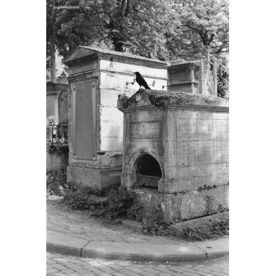 Pellicule Kodak Tmax 400 - 135 unité