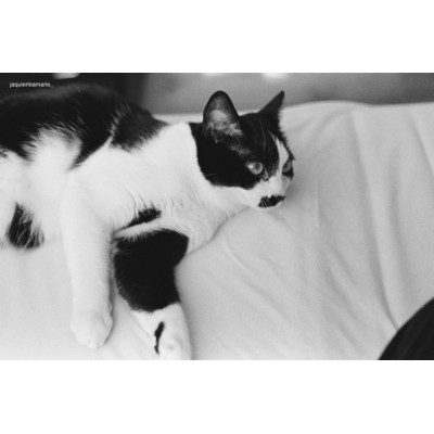 Pellicule Kodak Tmax 400 - 135 unité