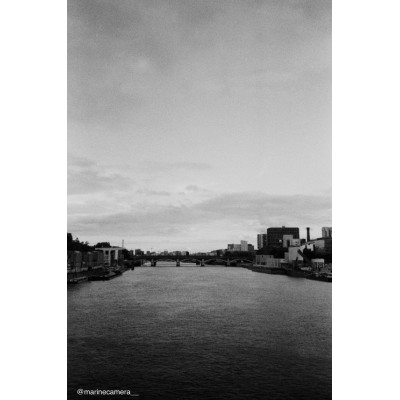 Pellicule Kodak Tri-X 400 - 120 (x5)