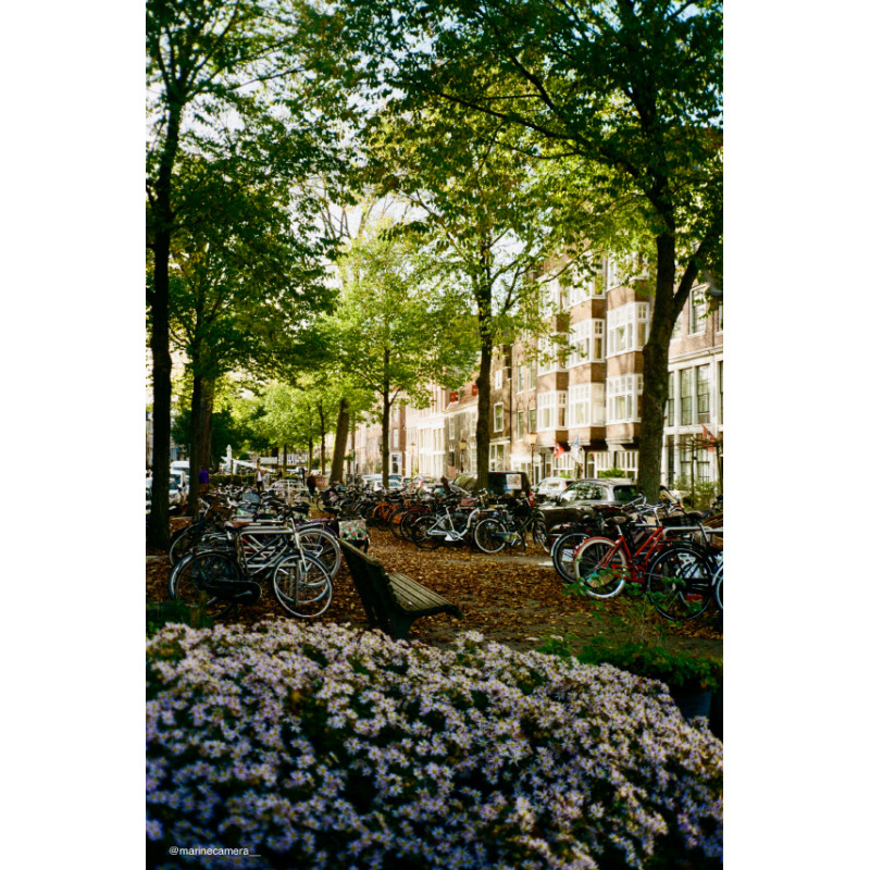 Pellicule KODAK ColorPlus 200 - 135 36P