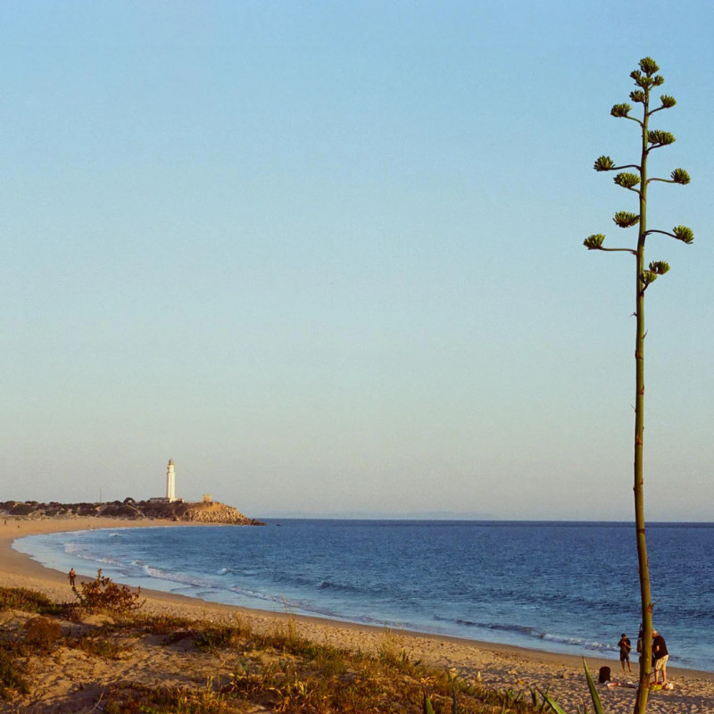 Pellicule Candido 200 36p
