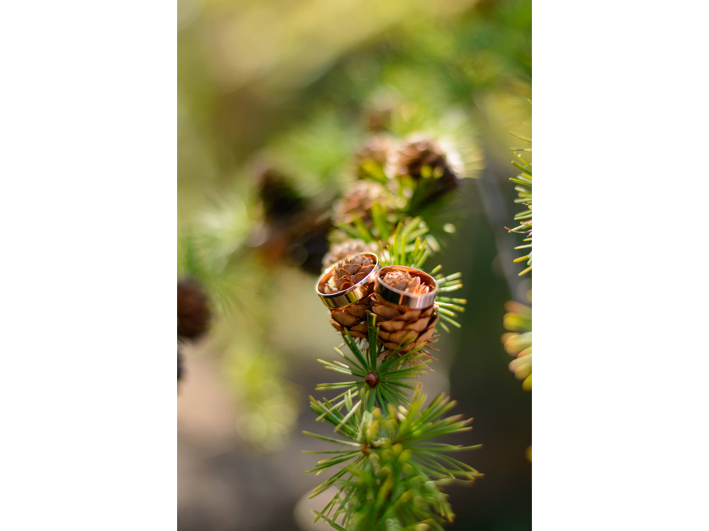 Photographe de mariage