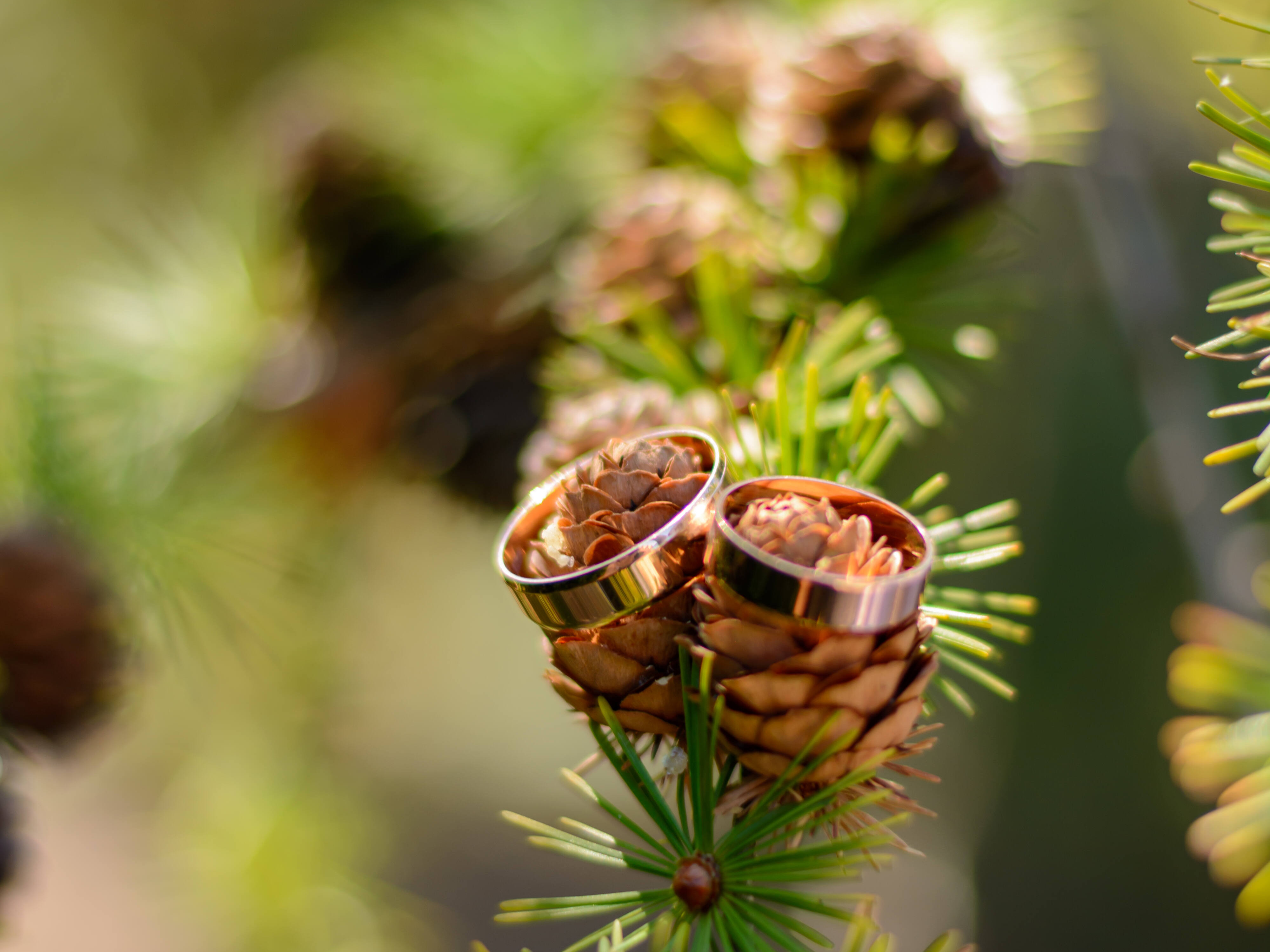Photographe de mariage