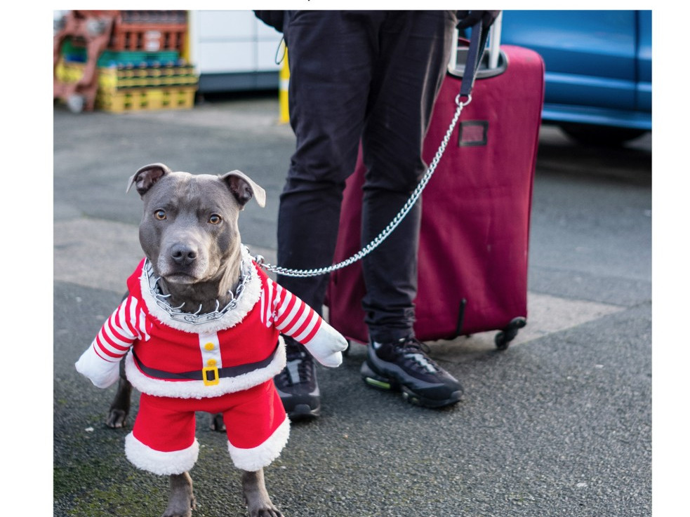 Street Fantasy : pareil mais autrement !