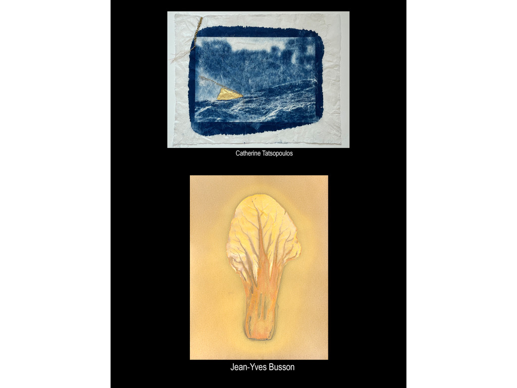 "Chœur de Lumière" Commissaire d’exposition Natalia Rudychev Exposition collective de la Photographie des Procédés Analogiques et Historiques, Édition 2026