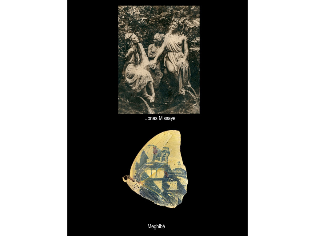 "Chœur de Lumière" Commissaire d’exposition Natalia Rudychev Exposition collective de la Photographie des Procédés Analogiques et Historiques, Édition 2026