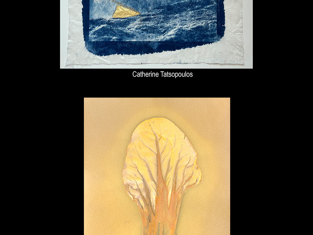 "Chœur de Lumière" Commissaire d’exposition Natalia Rudychev Exposition collective de la Photographie des Procédés Analogiques et Historiques, Édition 2026