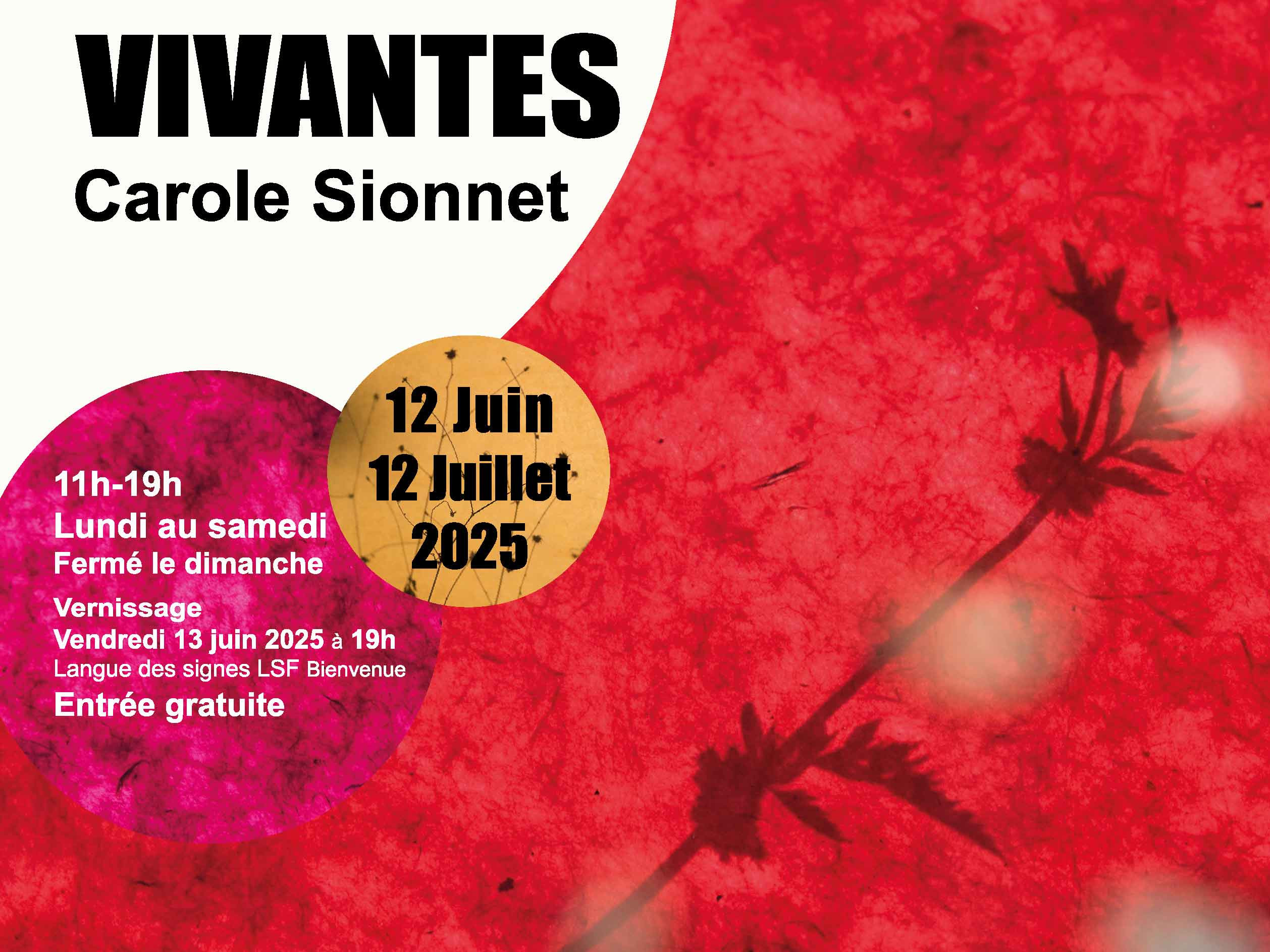 VIVANTES exposition de Carole Sionnet